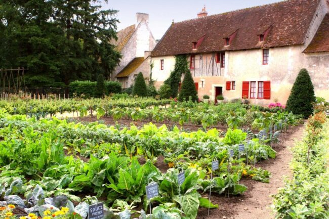 10 طرق سهلة للعيش بشكل أكثر استدامة في فرنسا